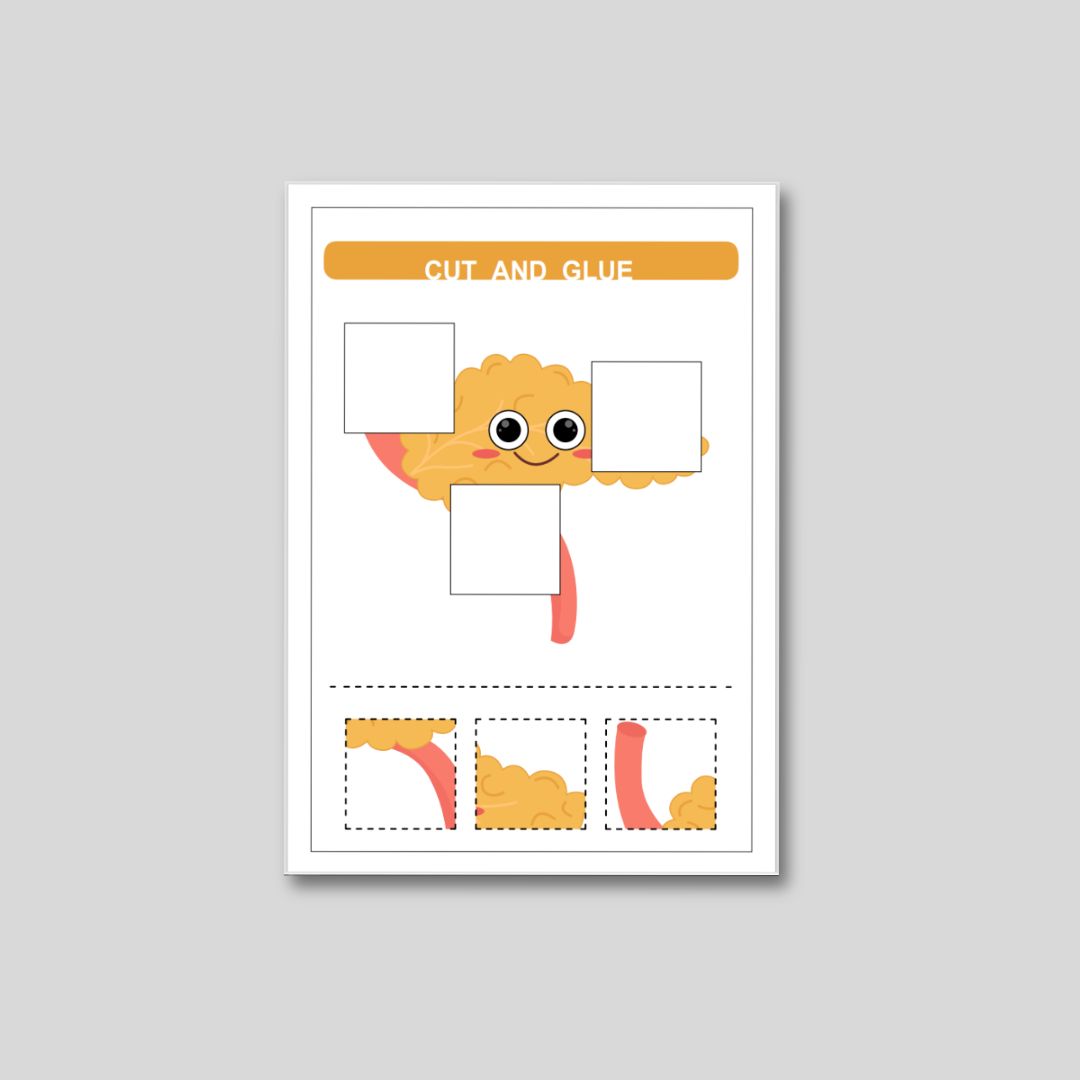 1000+ Cut and Glue Worksheet - Image 5